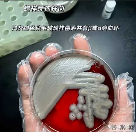 知名奶粉爆雷，含致病菌隐患威胁孩子健康，很多家庭仍在使用