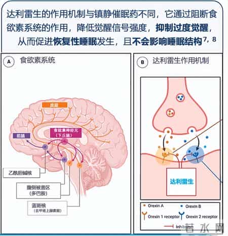 哪些失眠患者适合达利雷生？专家说这3类人群可以考虑
