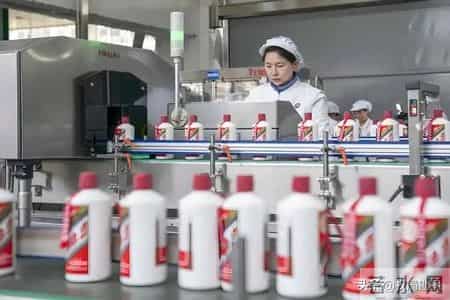 裁员潮袭击茅台子公司，百余员工成项目牺牲品，年薪15万补偿6000