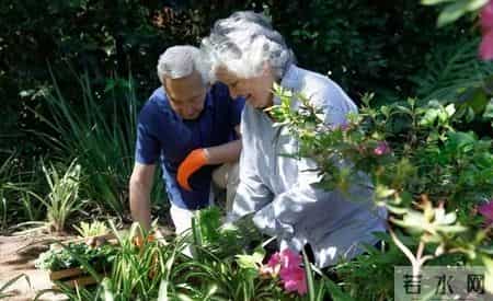 “新型养老”火了！不靠保姆不进养老院，子女终于不用愁