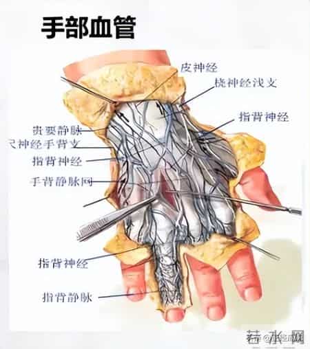剪脐带剪到手指？1张新生儿“劫难图”，护士一句“乱动”想翻篇