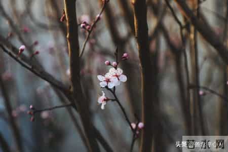 退休了，只要你不入任何的局，你将活得很自在