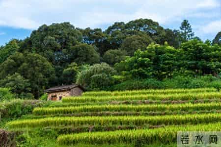 我63岁，存款12万，养老金198元，但我决定不再继续打工