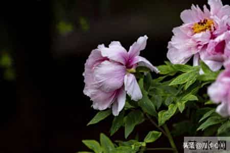 普通人最好的活法是58岁能存下10万存款，58岁后保重身体安度晚年