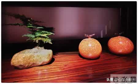 不要与同事高调比较，低调才是智慧，静水深流的人，注定走得更远