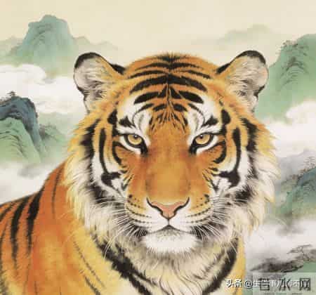 生肖虎：8号有个人走进你的生活，从此一切都不一样了