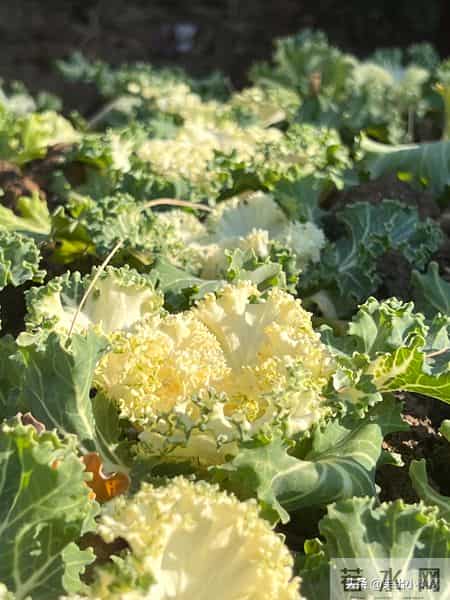 退休阿姨谈职场：累的不是工作，是人心