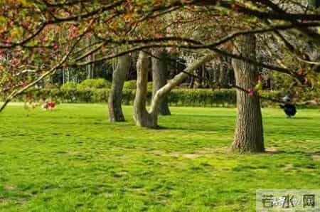 60岁后，手里有钱，心里不慌，这才是晚年最硬气的靠山