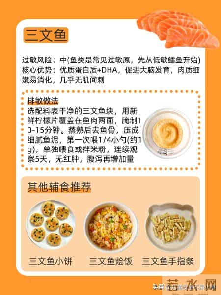 宝宝辅食排敏指南