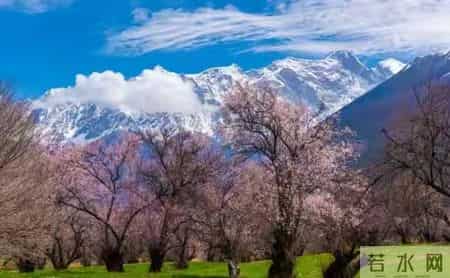 人到六十才懂，晚年幸不幸福，全靠这三张底牌