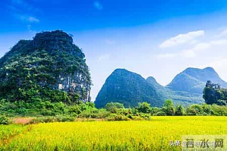 退休了，只要你不入任何的局。你将话得很自在