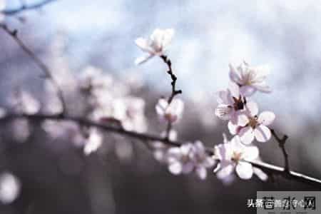 退休了，只要你不入任何的局，你将活得很自在