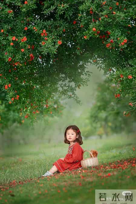 别太操心你的孩子，他的人生自有轨迹