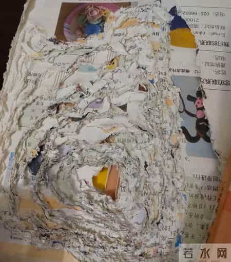 这帮熊孩子，笑得我大米粒子差点从鼻孔里喷出来！