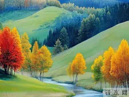 带娃办事=免费社会化教育！手把手教你把日常变成课堂