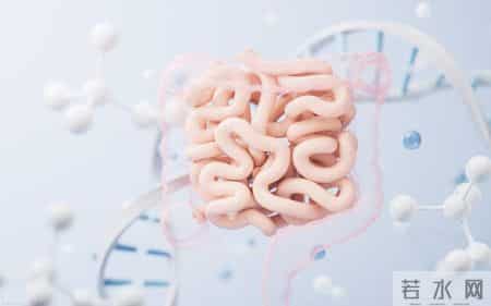 全系统生物干预：破解自闭症与发育迟缓的整合干预新范式