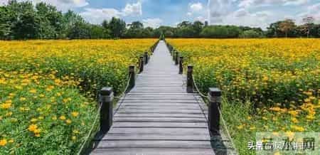 两性关系：单身老年人搭伙养老，一定要重视这几件事