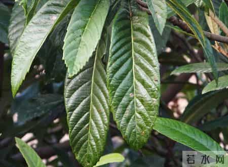 吸烟又火了？医生发现：血压高吸烟时，多留意4点，有益健康