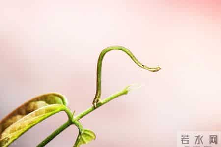 多学科团队接力攻坚，晚期肠癌肝转移患者重获新生