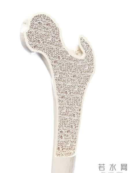 院士多次提醒：年龄过了55岁，体检主要查这6大项，别再盲目乱查