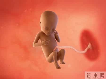 怀孕1-40周，胎儿发育每周变化！孕妈妈的干货科普