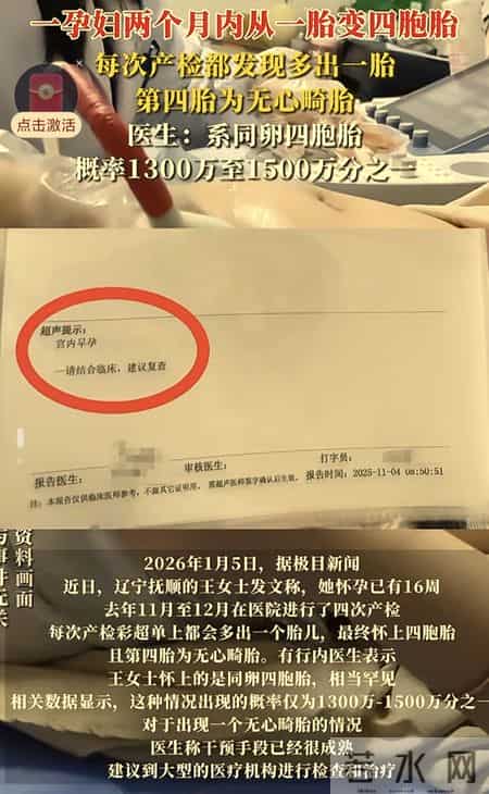 从一到四的奇迹与挑战：怀胎两月变四胞胎，这缘分你能接住吗？