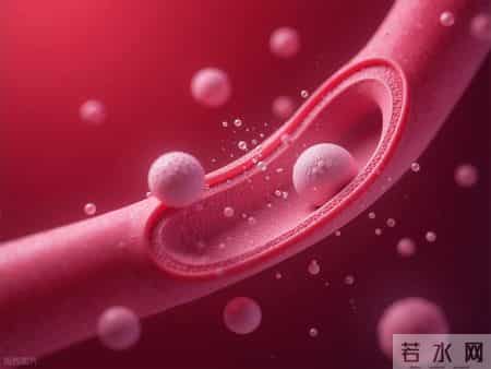 高血压患者不能喝鸡汤 医生建议：若不想血压失控，这3种汤该忌口