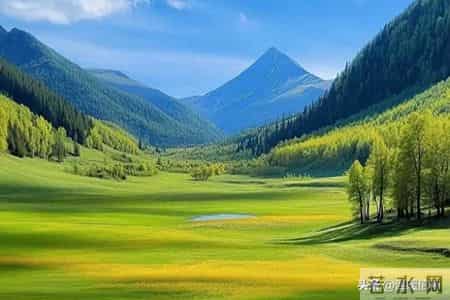 带娃办事=免费社会化教育！手把手教你把日常变成课堂