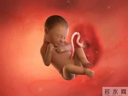 怀孕1-40周，胎儿发育每周变化！孕妈妈的干货科普