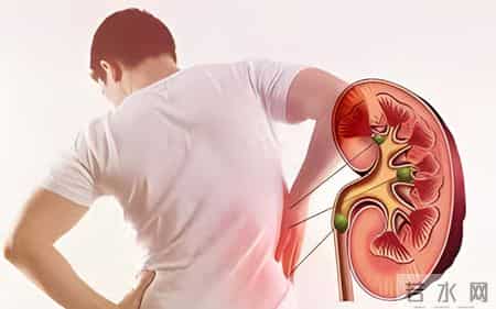 发现：蒲公英茶可在一天内溶解血栓扩张血管，是真的吗？听分析