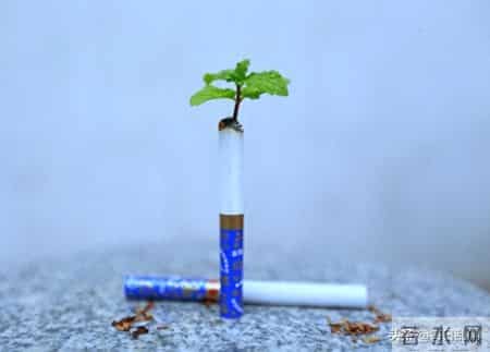 香烟里的"隐形加速器"助燃剂不仅让烟烧得快，还藏着四重健康杀机