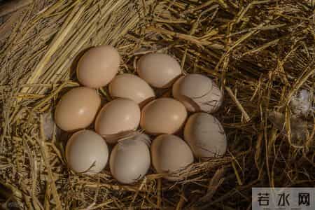 35岁男士确诊肾癌，提醒父母：冰箱久放的4种食物，及时扔掉