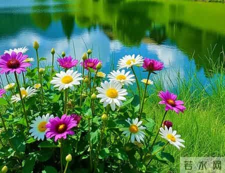 孩子离“贵人”就差一步：不是运气差，是缺了五样“接住”的本事