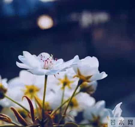 如果你已经60岁了，还可以做到下面这几点，那你真的是有福的老人