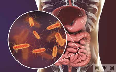 米酒立大功？研究发现：经常喝米酒的男人或有6个健康益处