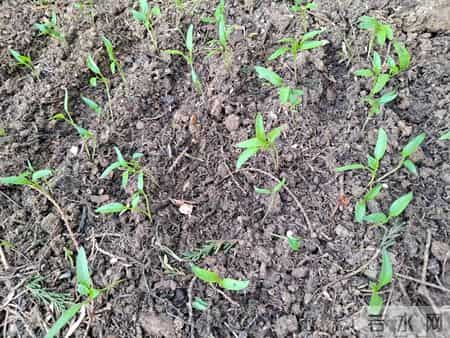 退休后，尽量不要和别人聊这几件事