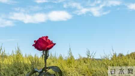 你以为60岁女性都安分？其实过了60岁，女人普遍有这7大隐秘变化