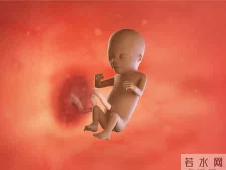 怀孕1-40周，胎儿发育每周变化！孕妈妈的干货科普
