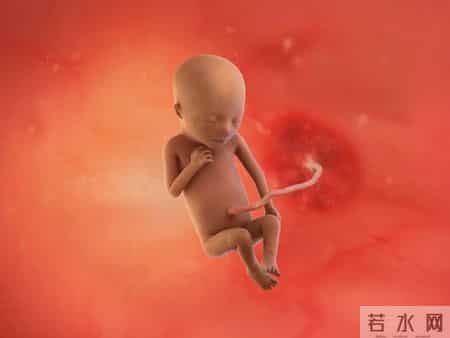 怀孕1-40周，胎儿发育每周变化！孕妈妈的干货科普