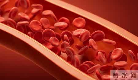 桑葚再次被关注，医生发现：肾病患者常喝桑葚泡水，或有这3好处