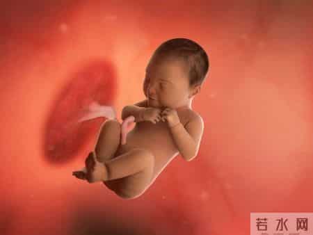 怀孕1-40周，胎儿发育每周变化！孕妈妈的干货科普