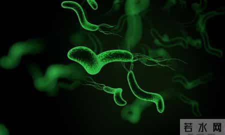 研究发现：爱吃辣椒的人，胃癌、糖尿病、全因死亡率，比同龄人低