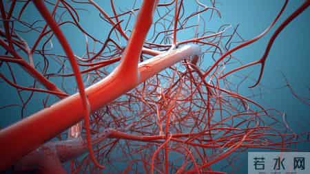 42岁女性患上高血脂，天天吃芹菜，2个月后复查，医生：你咋做到