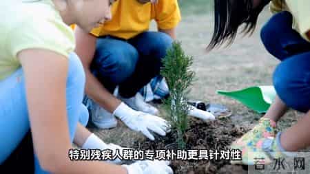 残疾证补贴别错过，三级四级残障人士注意！