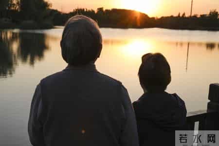 100万养老钱瞒成8万，女婿找上门的那一刻……