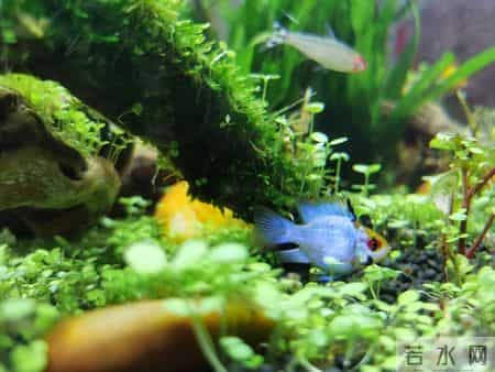 别羡慕别人家娃，左手繁星右手坦途，这波顶级好运必须接住啊！