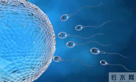 27岁健身教练精子畸形率超90%，医生：年轻男性普遍“外强中干”