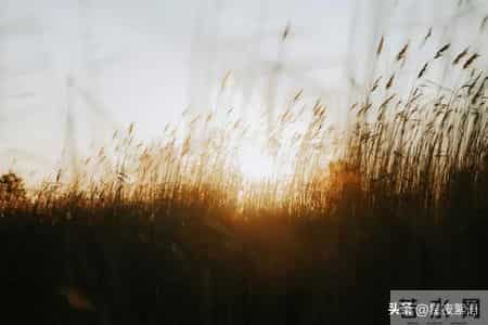 55到65岁这十年，一定要把这4件事烂在肚子里，哪怕亲兄弟也别说