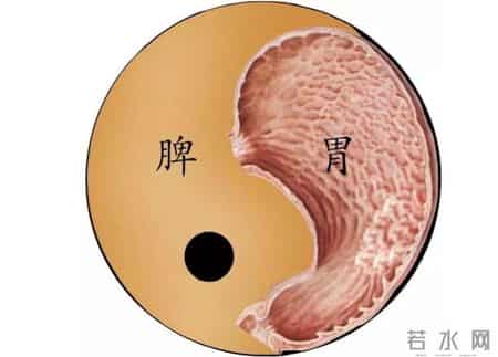 孩子长得慢、矮小？没有这5种情况，就把心放肚子里！还能长