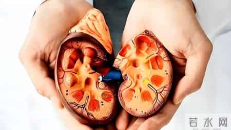 他汀立新功！研究发现：这5种他汀不仅不伤肝，或还降低肝癌风险